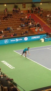 Marius Copil