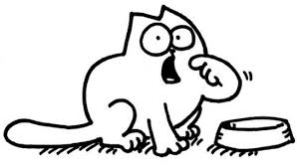 Simon's cat