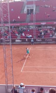 Sam Stosur 
