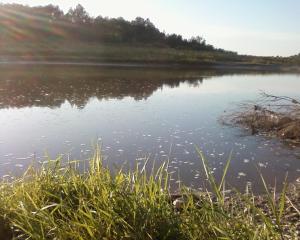 330342_2030995650836_1776656_o